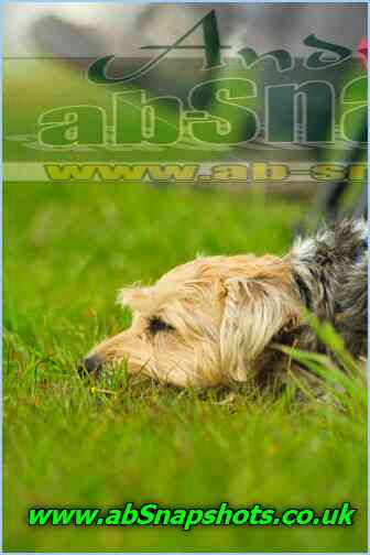ST1905 A0887